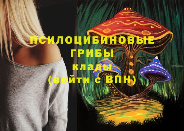 spice Беломорск